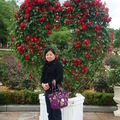 愛寶樂園玫瑰花園