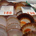 雪梨魚市場 -貝類