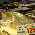 雪梨魚市場- 鮮魚攤