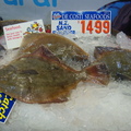 雪梨魚市場 -鮮魚攤