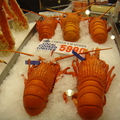 雪梨魚市場-龍蝦攤