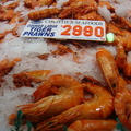 雪梨魚市場-鮮蝦攤