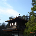 京都--銀閣寺 - 1