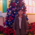 小咩咩與國泰醫院的聖誕樹合影