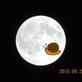 2010中秋節滿月 - 攝影於瓜牛家後院 - 加瓜牛Logo