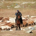 新疆 2011 - 2