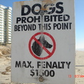 澳幣對台幣是將近27:1，所以是40,500台幣。只是帶狗侵入到某段海灘，所謂法的嚴峻可見一斑。