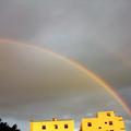 田裡清晨看見的雙虹