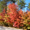 秋的色彩 - 2