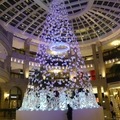 2010聖誕樹 - 2