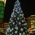 2010聖誕樹 - 2
