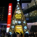 2010聖誕樹 - 3