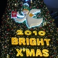 2010聖誕樹 - 1