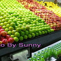 位於尾端的水果店 顏色鮮豔得像假水果