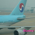 韓國首爾機場 都是韓亞航空的飛機