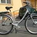 腳踏車 - 5