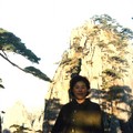 這是黃山10大銘松中ㄉ探海松 樹體不高  卻剛勁有力 傲然絕壁 我身後即為著名ㄉ始信峰~~到此始信黃山奇