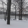 冬在紐約 ～ 山中湖 - 3