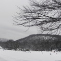 冬在紐約 ～ 山中湖 - 4