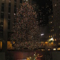 聖誕樹在紐約 - 5