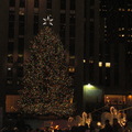 聖誕樹在紐約 - 5