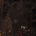 聖誕樹在紐約 - 4