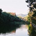京都 嵐山 水景