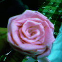 這是在藝文中心無聊時折的玫瑰花～～技巧還不錯喔！哈哈哈哈哈！！！