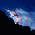 豐山貝母雲