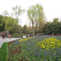 中山公園走春2009/03/15 - 2