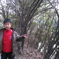 中山公園走春2009/03/15 - 1