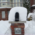 前院矮門柱上的積雪已遠高過手套