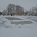 結凍的湖上留有明顯冰球場地的輪廓,可証明大女兒說昨晚見人在此玩曲棍球的事實