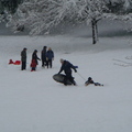 雪後的公園就是小孩們天然的滑雪場地