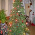 Christmas Tree Again