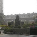 台北藝術家中庭花園,右側為車道,後方牆外為林口國中