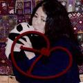三毛親吻玩具熊貓的照片 和她用過的紅頭繩