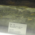 春秋秦公大墓的棺槨木料 想想2800年前的木頭~~~肅然起敬