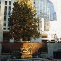 洛克斐勒中心~紐約最有名的聖誕樹景點~大概有N部電影都在此取景