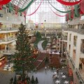 生活工場中北海道最有名的聖誕樹~在日劇