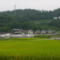 庵治町北山地區町道。在電影裡朔太郎和亞紀就在這條路上一邊騎車，一邊呼喊。
