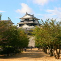 位在勝山山頂的松山城