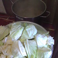 素薑母鴨~高麗菜下鍋一個個排好在上面
