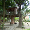 橋頭糖廠的樹屋