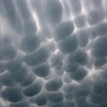 這種雲彩被稱為“乳房雲”。乳房雲的出現通常預示著暴風雨天氣的降臨，世界各地經常出現這種奇異的氣候現象。美國加州大學聖克魯茲分校物理學家帕特裡克.張稱，“這種雲彩的外形看起來很奇怪，如同一個個袋子掛在天空一樣。