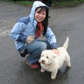 台灣女孩Jessie，正在念產科護理博士班。她和Lin一樣，在做研究上幫助新來的留學生好多好多。是個愛狗的女孩。