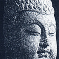 buddhat001
