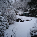 前院也覆蓋了厚厚的雪