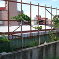 Roof Garden - 2