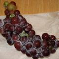 這是完好採下的第一串葡萄, 粉有紀念價值喔, 上面是健康的果粉,不是發霉